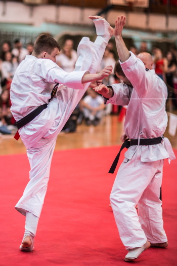 Krakowski Klub OYAMA - Perfect Karate